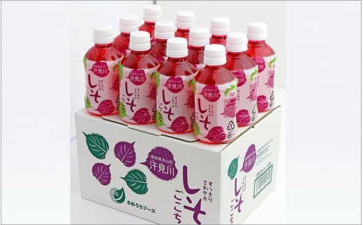 【B06005】すっきりさわやか しそごこち12本入り高知県10000お茶・飲料果汁・野菜飲料