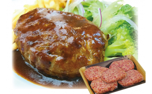 【B06056】土佐あかうし ハンバーグ5個セット高知県10000肉牛肉