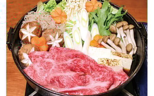 【F06009】土佐あかうし定期便高知県100000肉牛肉