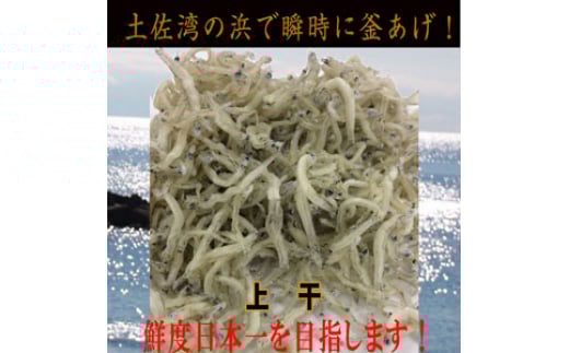 ߂񂶂Ⴑ (㊱) 300gNx{ڎw܂IlŏuɊg yOCWAЁz [ATAC424]mms9000ECY̑ ECY