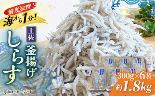 g炷 1.8kg (300g×6) lŏuɊo m̂炷 yOCWAЁz [ATAC081]@VX VN  Y  CN ȒP Z m 炷mms33000ECY