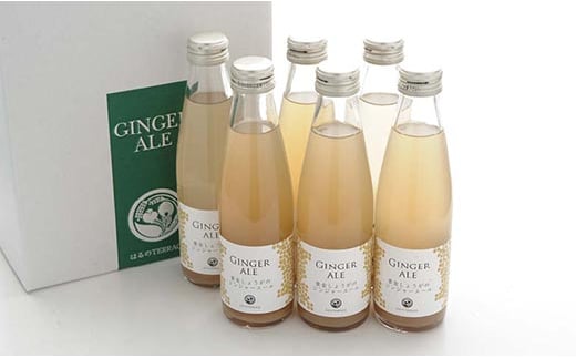 傤̃WW[G[6{/ yI Xp[NO WW[G[ u₩y͂TERRACEz [ATAV001]mms9000Eʏ`E؈