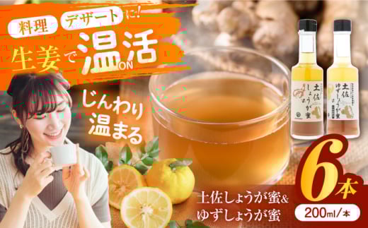 y傤E䂸傤6{Zbg/ yI قWW[y͂TERRACEz [ATAV011]mms15000ʕEt[c݂Ek