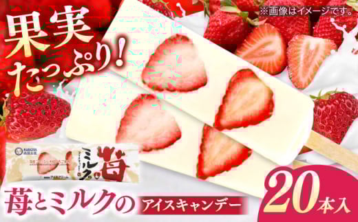 苺とミルクのアイスキャンデー 20本入 / 久保田食品 アイス アイスクリーム アイスキャンデー デザート スイーツ 苺 いちご イチゴ ミルク 果物 フルーツ セット 詰め合わせ バラエティ ギフ