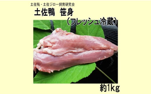 y g (tbV①) 1kg y yW[猤  J  TT~ yOCWAЁz [ATAC589]  Ƃ mms17000WrG