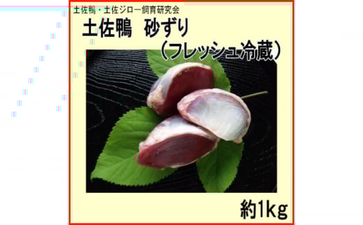 y  (tbV①) 1kg y yW[猤  J  yOCWAЁz [ATAC590]@  J Ƃ mms16000WrG