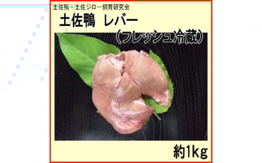 y o[ (tbV①) 1kg y yW[猤 yOCWAЁz [ATAC591]@ Ƃ mms15000WrG