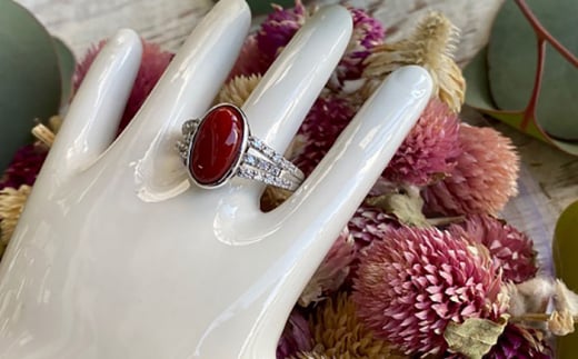 X O 3LINE yLЕđTSXz [ATCX022]mms1760000ߗށEiEH|iANZT[