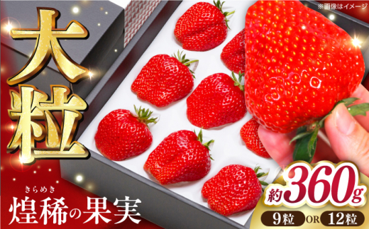 ys\zH̉ʎ 嗱   360g (9܂12) mst쒬Yq2026N1{`2026N4{r /   C`S ʕ t[cyX̂_z[ATAS001]mms17000