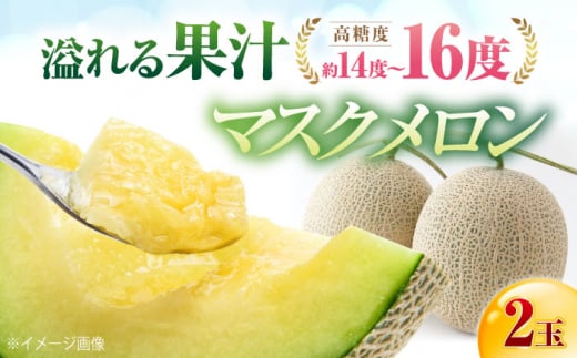 ys\z ms t쒬Y }XN 2 (2.8kg`3.4kg dʍ) q2026N910`2026N915r yЎR_z [ATCI002]mms12000ʕEt[cEXCJ