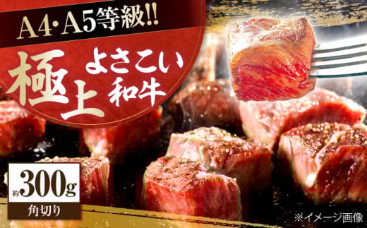 mY 悳a p؂ 300g TCRXe[L J[ ύ A4 A5 y(L)RdHz [ATAP081]mms11000