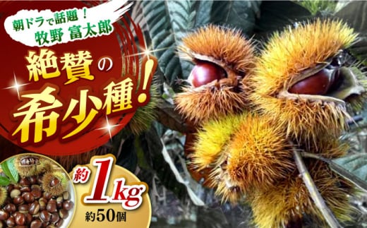 ys\zققÂInÌI IGiKi 1kg (50O)2025N10{` ym여斲ÌIYґg 葠zI  G H {  [ATDR002]m