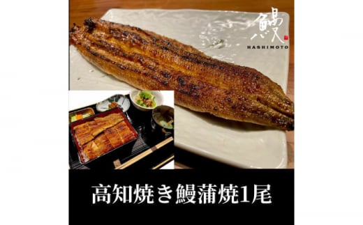 【先行予約】高知焼き鰻蒲焼1尾 〈2025年11月〜発送〉【鰻HASHIMOTO】高知県高知市14000魚介・海産物うなぎ