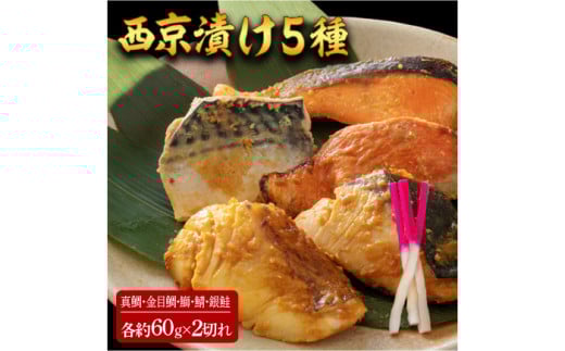 Ђ 510 (^ ڑ  I ) 60g×e2 ymt[YЁz [ATBX058]mms18000ECYN