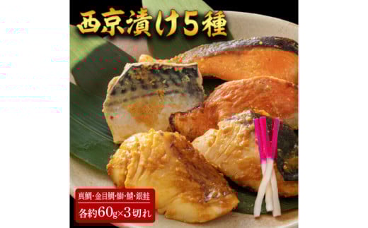 Ђ 515 (^ ڑ  I ) 60g×e3 ymt[YЁz [ATBX062]mms26000ECYN