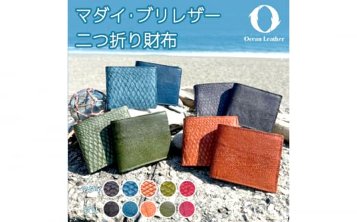 yOcean BluezOcean Leather ܂zy}_Czymt[YЁz [ATBX070-01]mms150000ߗށEiEH|iz