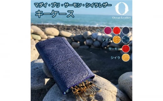 yOcean BluezOcean Leather L[P[Xy}_Czymt[YЁz [ATBX076-01]mms85000ߗށEiEH|ȋ iEH|i
