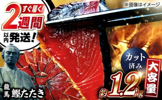 {ނ藴n@1.2kg ||t /m {i mĂ JcI   uԗⓀ I yЁ@az [ATAX016]mms10000ECYN