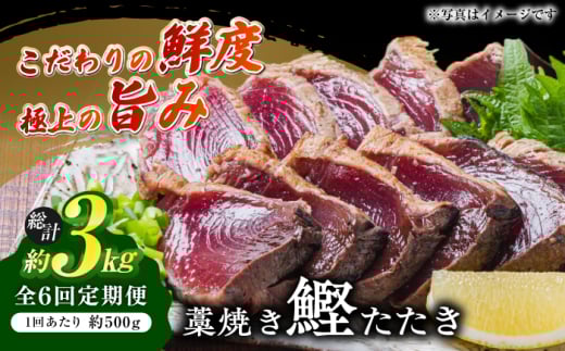 y6ցz_Y mĂ (JcI)  2 (500g) Zbg v3kg y lz [ATAF135] ̂ JcÎ ̂ ߂芏  mĂ Ă