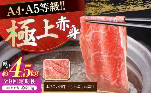 y9ցzmY 悳a Ԑg Ԃԗp 500g v4.5kg  ₫ Y  A4 A5 ؂ XCX y(L)RdHz [ATAP121]mms149000