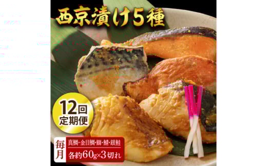 y12ցzЂ 515 (^ ڑ  I ) 60g×e3 ymt[YЁz [ATBX118]mms311000ECYN