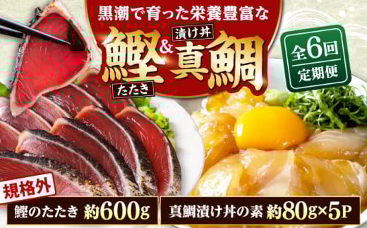 y6ցzKiOJcI 600g{^Ђ̑f 80g×5pbN ymt[YЁz [ATBX120]mms74000ECYN