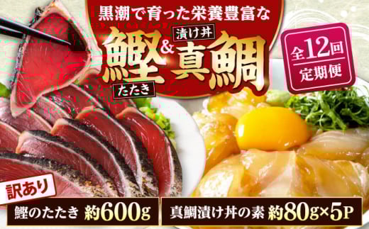 y12ցzKiOJcI 600g{^Ђ̑f 80g×5pbN ymt[YЁz [ATBX121]mms148000ECYN