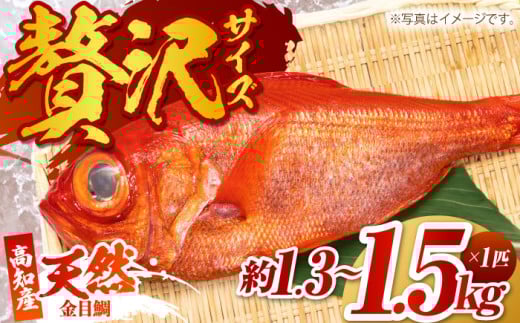 mY VR ڑ 1.3kg`1.5kg q2025N2`r /E낱ς hg ϕt  ^C L_C yЁ@lz [ATAF004]mms25000ECYN