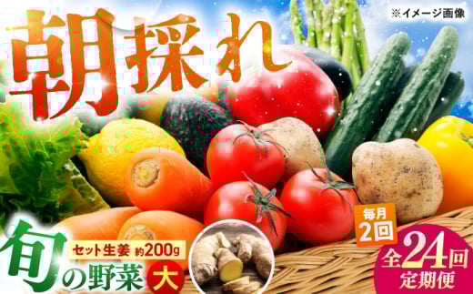 y24ցE2zz y̑zςɗт{̖10`13iڂƐI200g̃Zbg / m y {  I lߍ킹 Zbg d yy؁z [ATBA017]mms334000