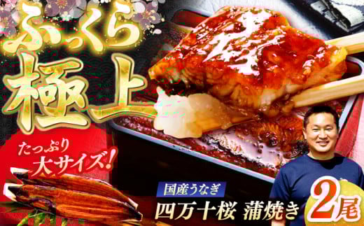 ɏ㍑YȂl\ Ă2 ՂTCY / Y m l\ Ȃ EiM V Ă ȏd y ґ yLЂ肽z [ATHE001]mms26000ECYȂ