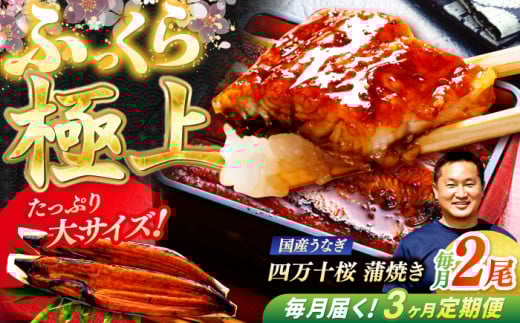 y3ցzɏ㍑YȂl\ Ă2 ՂTCY / Y m l\ Ȃ EiM V Ă ȏd y ґ yLЂ肽z [ATHE005]mms78000ECY