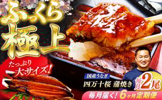 y6ցz ɏ㍑YȂl\ Ă2 ՂTCY / Y m l\ Ȃ EiM V Ă ȏd y ґ yLЂ肽z [ATHE008]mms156000ECY