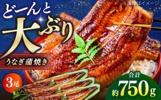 mY Ȃ Ă 3i250g×3j / Y Ȃ V EiM  t yrV{Xz [ATAU007]mms38000ECYȂ