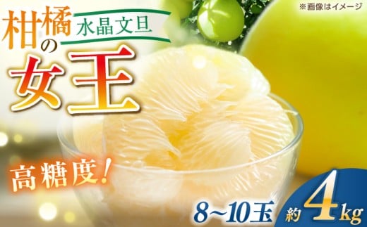 ys\z U 4kgi8`10ʁj͔|Ԓ_sgp q2025N1220`2026N1{r / m U ʕ k t[c fU[g y쟺ʎz [ATHX004]mms19000ʕE