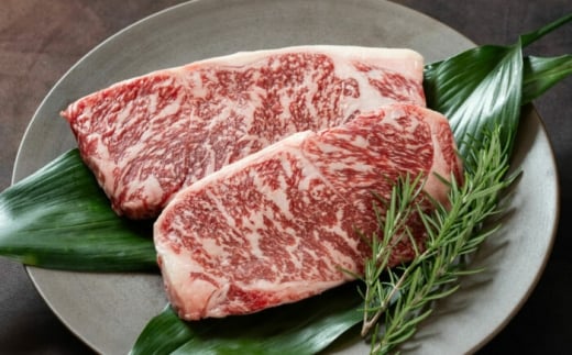 y T[C Xe[L 400gi200g×2j/ p  y ya a    Hi Ⓚ m ymHZ^[Ёz [ATFC028]mms26000