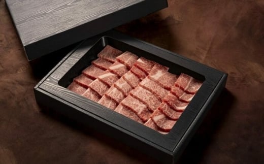 y ēpi[Xj400g / p W[V[Ȍ  y ya a    ē Ⓚ m ymHZ^[Ёz [ATFC031]mms21000