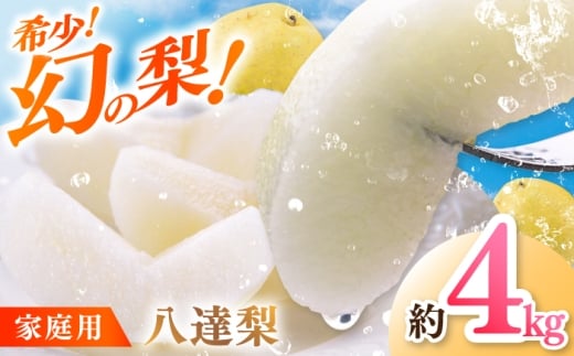 ys\z 쟺ʎ B 4kg ƒp q2025N10`r /  Ȃ iV ʕ t[c fU[g H Â W[V[ yDoragoz [ATAM061]mms31000ʕEt[c