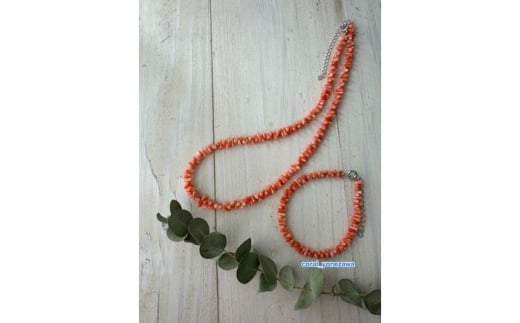 y͂߂Ă̎XɁzX̃lbNXuXbgZbg ȂăOlbNXɂȂ2WAYdl / ANZT[ Vo[ fB[X Mtg yLЕđTSXz [ATCX067]