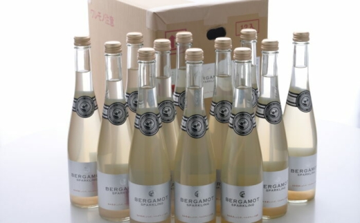 yxKbg̃Xp[NO 500ml×12{Zbg/ yI xKbg Xp[NO WW[G[ u₩  hN y͂TERRACEz [ATAV014]mms40000E