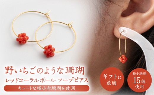 X̃t[vsAX{[ yLЕđTSXz [ATCX025]mms19000ߗށEiEH|iANZT[