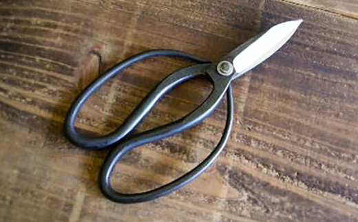 A (͂) v m yłn yOCWAЁz [ATAC150]  A nT~ _їp  ~ m vۍmms46000ߗށEiEH|ȋ iEH|i