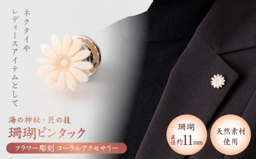 ̋Z t[ s^bN yLЕđTSXz [ATCX030]mms16000ߗށEiEH|iANZT[