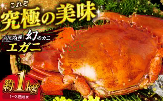 ẙIz Y˘pY GK 1LO / Jj  I  m ms m Y CN CY bk 1s 1L  ґ ܂ ӎ  yy̜Aہz [ATAL001]mms44000