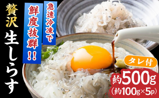 mYuVXvCVt100g×5pbN (^t) [ATBX003]mms15000ECY̑ ECY