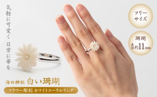 ̋Z t[ t[TCY O yLЕđTSXz [ATCX031]mms16000ߗށEiEH|iANZT[