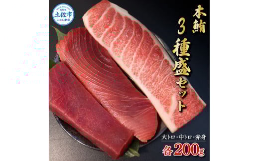 本マグロ 本鮪 大トロ・中トロ・赤身 各200g まぐろ3種盛セット マグロ まぐろ 本まぐろ 刺身 刺し身 魚 海鮮 冷凍 美味しい おいしい 食べ比べ セット 詰め合わせ 故郷納税 ふるさとのうぜい