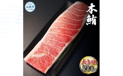 本マグロ 本鮪 大トロ500g トロ マグロ まぐろ 本まぐろ 刺身 刺し身 魚 天然 冷凍 美味しい おいしい 故郷納税 ふるさとのうぜい 返礼品 高知県 高知高知県土佐市33000魚介・海産物鮮魚