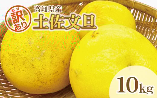 【訳あり】土佐文旦(ぶんたん)家庭用(M〜5L)約10kg【株式会社とさもん(土佐市)厳選】 文旦 10キロ 約10〜30玉 大玉 特大 ぶんたん 柑橘 果物 フルーツ 訳あり お取り寄せ おいしい 美