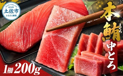本マグロ 本鮪 中トロ200g トロ マグロ まぐろ 本まぐろ 刺身 刺し身 魚 海鮮 冷凍 美味しい おいしい 故郷納税 ふるさとのうぜい 返礼品 高知県 高知高知県土佐市13000魚介・海産物鮮魚