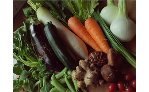 旬の朝採れ土佐野菜詰め合わせ(10〜13品目)【土佐市】高知県土佐市10000野菜・きのこその他 野菜
